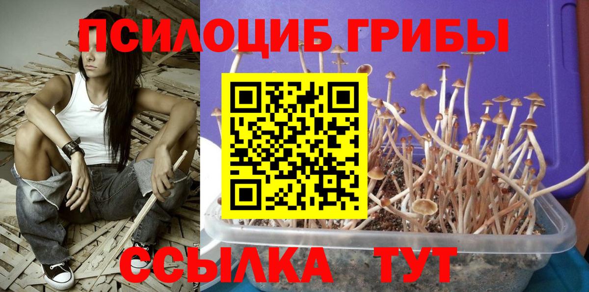 Донецк  Псилоцибиновые грибы GOLDEN TEACHER  Вход с VPN 