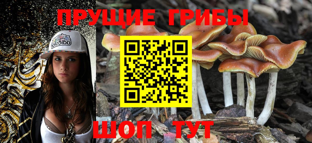 Псилоцибиновые грибы мицелий Донецк